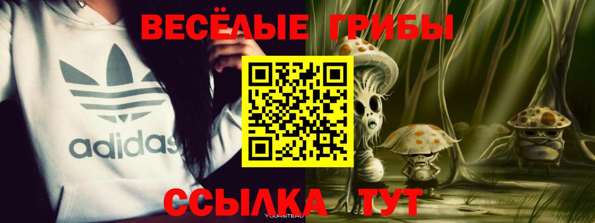 Белорецк  Псилоцибиновые грибы Psilocybe  Вход с VPN 